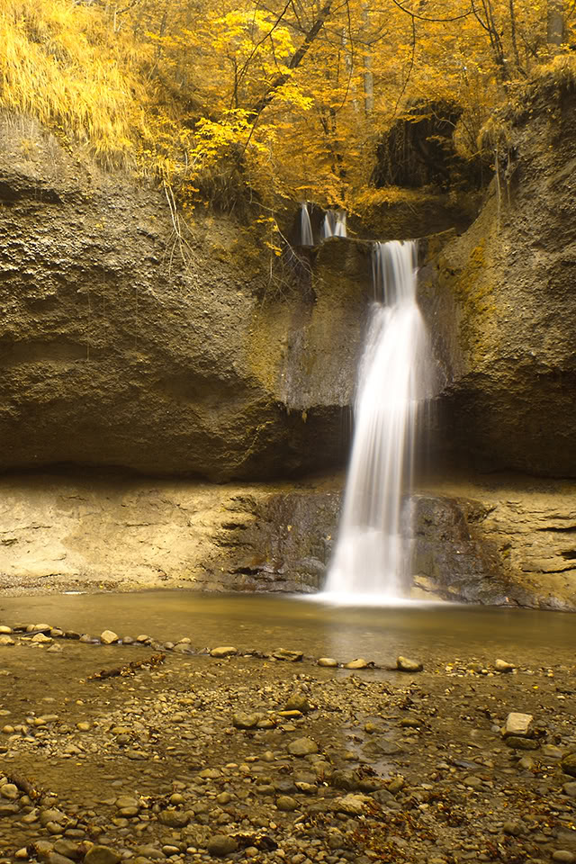 Tải hình nền 320x480